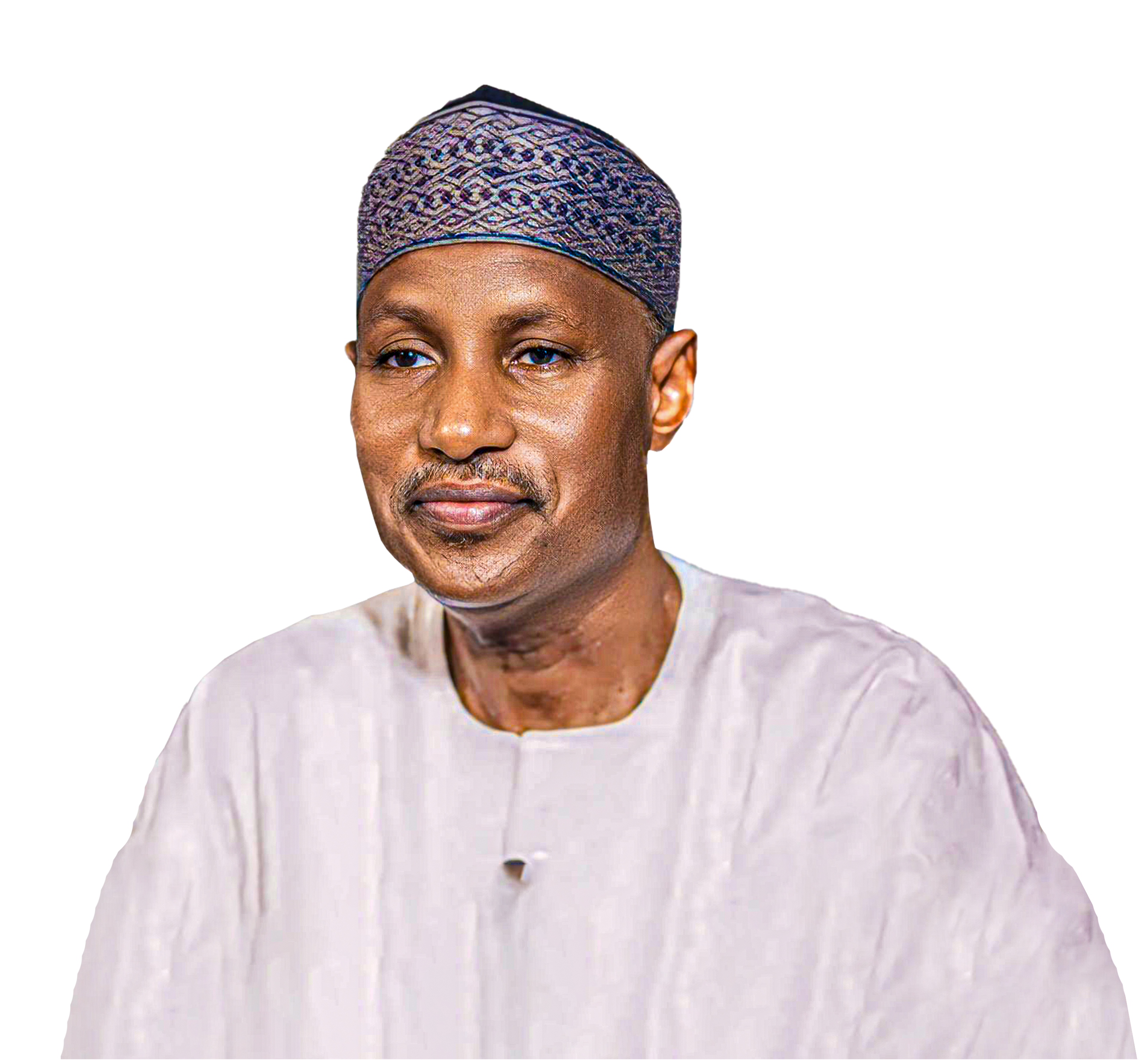 Ambassador Hassan Ardo Tukur